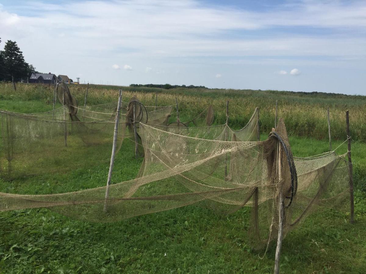 Sodyba Almadojus Dreverna Buitenkant foto
